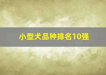 小型犬品种排名10强