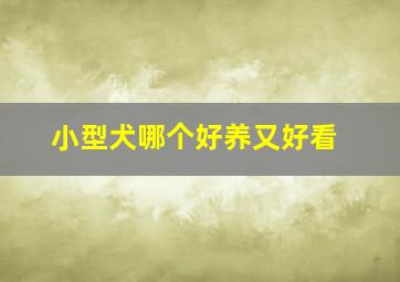 小型犬哪个好养又好看