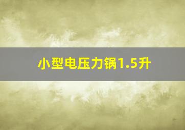 小型电压力锅1.5升