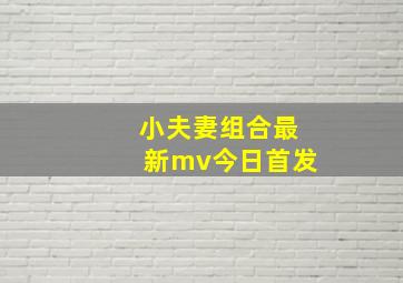 小夫妻组合最新mv今日首发