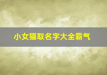 小女猫取名字大全霸气