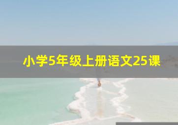 小学5年级上册语文25课