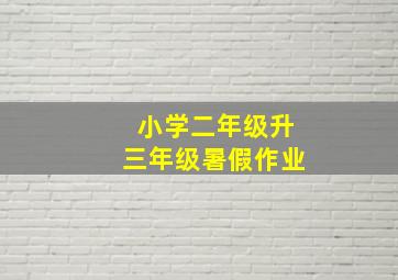 小学二年级升三年级暑假作业