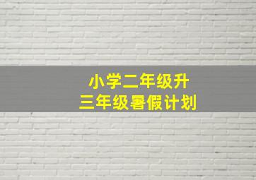 小学二年级升三年级暑假计划