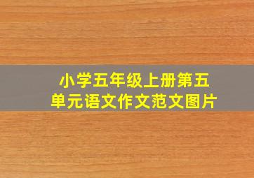 小学五年级上册第五单元语文作文范文图片