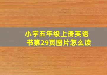 小学五年级上册英语书第29页图片怎么读