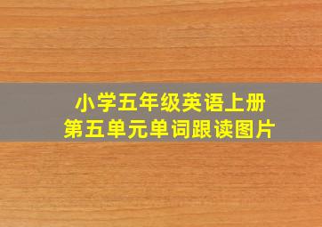 小学五年级英语上册第五单元单词跟读图片