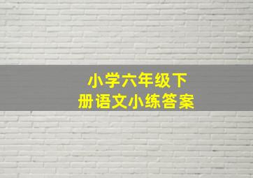 小学六年级下册语文小练答案