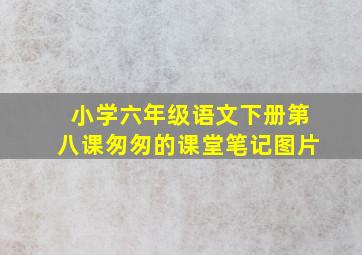 小学六年级语文下册第八课匆匆的课堂笔记图片