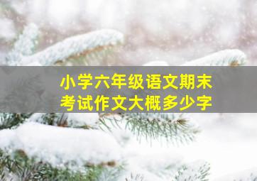 小学六年级语文期末考试作文大概多少字