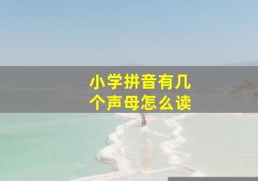 小学拼音有几个声母怎么读