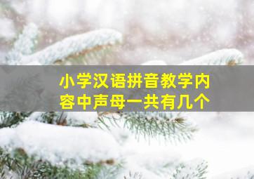 小学汉语拼音教学内容中声母一共有几个