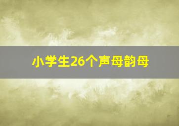 小学生26个声母韵母