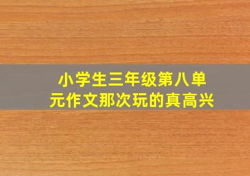 小学生三年级第八单元作文那次玩的真高兴