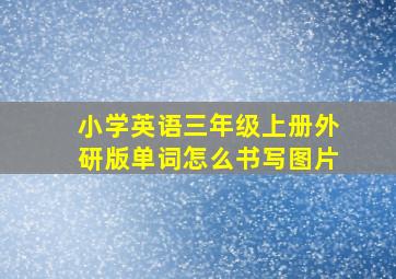 小学英语三年级上册外研版单词怎么书写图片