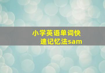 小学英语单词快速记忆法sam