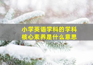 小学英语学科的学科核心素养是什么意思