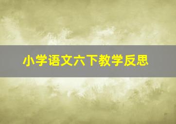 小学语文六下教学反思