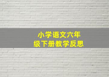 小学语文六年级下册教学反思