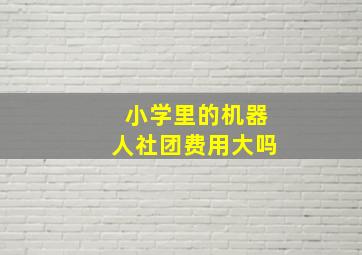 小学里的机器人社团费用大吗