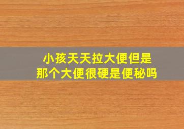 小孩天天拉大便但是那个大便很硬是便秘吗