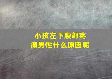 小孩左下腹部疼痛男性什么原因呢