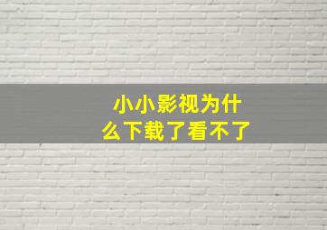 小小影视为什么下载了看不了