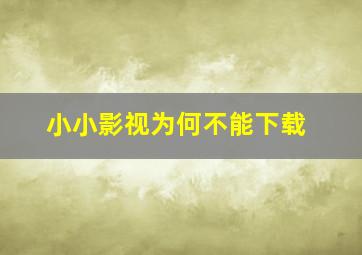 小小影视为何不能下载