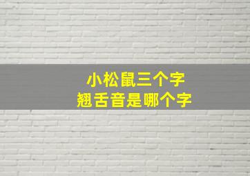 小松鼠三个字翘舌音是哪个字