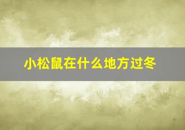 小松鼠在什么地方过冬