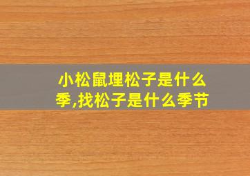 小松鼠埋松子是什么季,找松子是什么季节