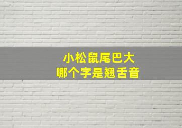 小松鼠尾巴大哪个字是翘舌音