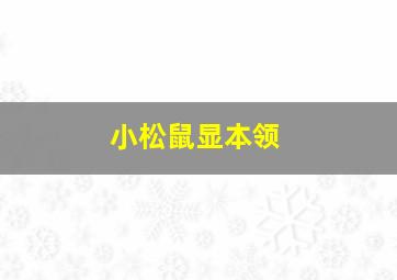 小松鼠显本领