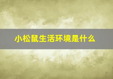 小松鼠生活环境是什么