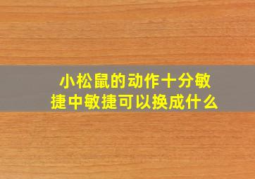 小松鼠的动作十分敏捷中敏捷可以换成什么