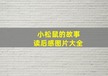 小松鼠的故事读后感图片大全