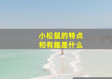 小松鼠的特点和有趣是什么