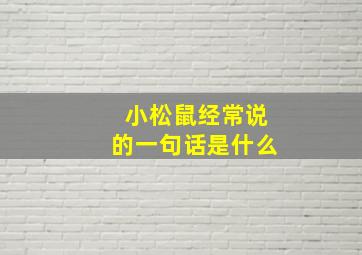 小松鼠经常说的一句话是什么