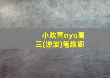 小欢喜nyu高三(逆波)笔趣阁