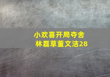 小欢喜开局夺舍林磊草董文洁28