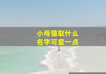 小母猫取什么名字可爱一点