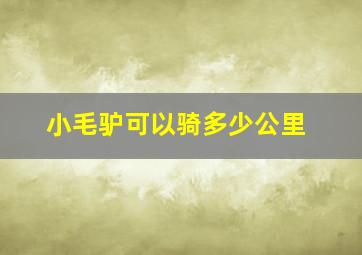 小毛驴可以骑多少公里