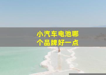 小汽车电池哪个品牌好一点