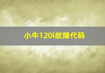 小牛120i故障代码