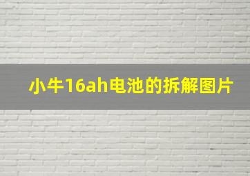 小牛16ah电池的拆解图片