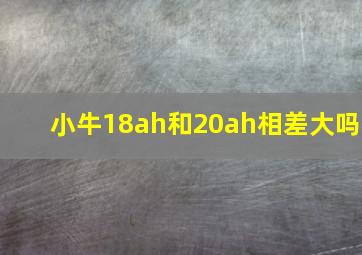 小牛18ah和20ah相差大吗