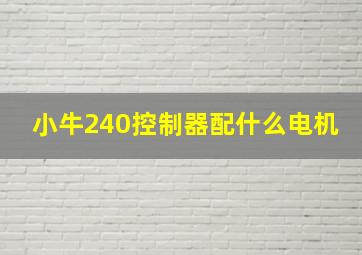 小牛240控制器配什么电机