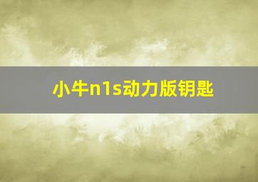 小牛n1s动力版钥匙