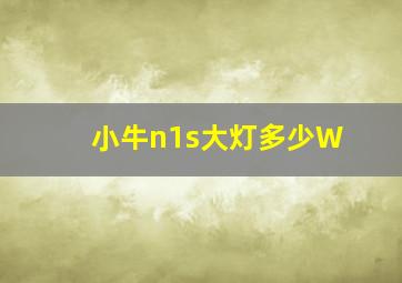 小牛n1s大灯多少W