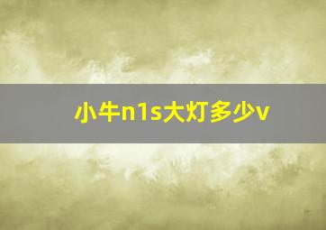 小牛n1s大灯多少v